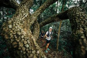 BIB: 
                            <button type="button" onclick="openModal(25393332)" class="btn btn-primary btn-sm float-right btn-popup" data-toggle="modal" data-target=".modal-high-quality">
                        <i class="fas fa-shopping-cart"></i> Add to Cart
                    </button>
                                            <button type="button" onclick="isThisMe(25393332, true)" class="btn btn-success btn-sm float-right btn-popup btn-isme hidden" data-toggle="tooltip" data-placement="bottom" title="นี่คือรูปของคุณใช่ไหม คลิกที่นี่เพื่อเอาเข้าอัลบั้ม">
                        <i class="fas fa-plus"></i> Add to album
                    </button>
                    <button type="button" onclick="isThisMe(25393332, false)" class="btn btn-warning btn-sm float-right btn-popup btn-isnotme hidden">
                        <i class="fas fa-ban"></i> Remove from album
                    </button>